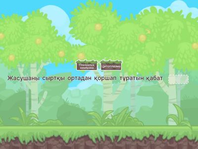 жасуша құрылысы 