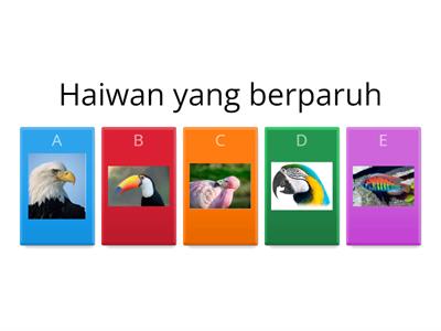 BAHAGIAN BADAN HAIWAN