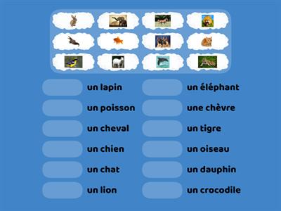 Les animaux et les goûts