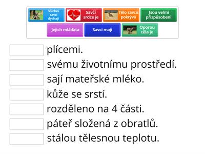 Savci - základní informace