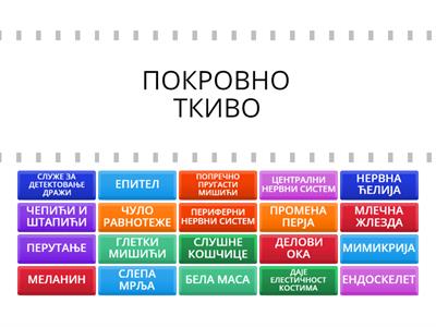 ЗАШТИТА,ПОТПОРА,ЧУЛА И НЕРВНИ СИСТЕМ