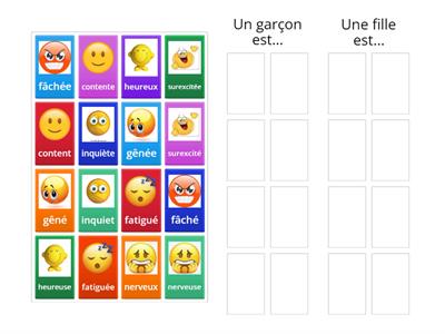 Niveau A -Les sentiments (fille/garçon)