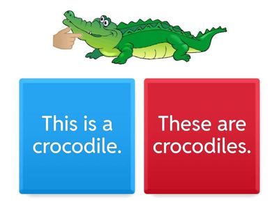 Zhuldyz This that these those 