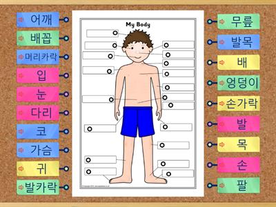 사람몸 단어 - 한국어