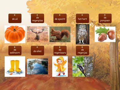 Verbinden Herfst Woordenschat - groep 3/4 #Meester Max