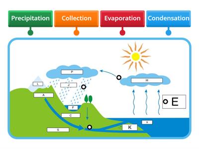 Label - Water Cycle