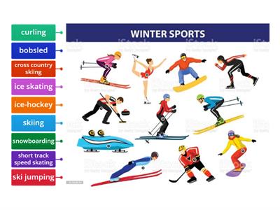 Winter sports