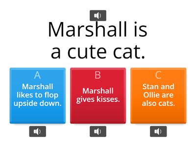 Topic and Details - Which One Doesn't Belong?