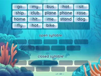 Open and closed syllables