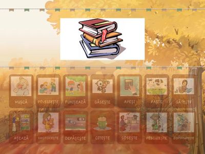 SUNETUL Ș FIND THE MATCH- ACȚIUNI