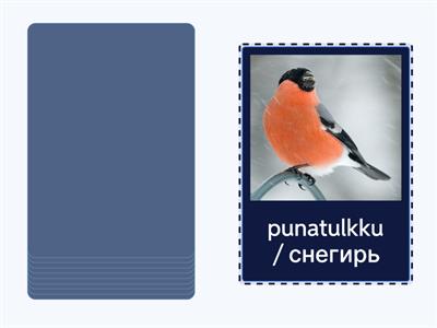 Talvilinnut. YM 5.lk CLIL su-ve