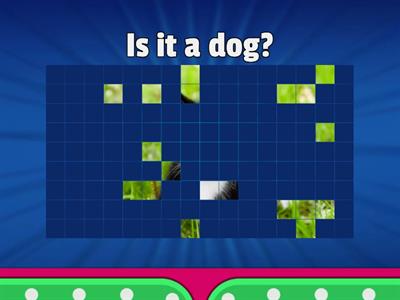 Super pets