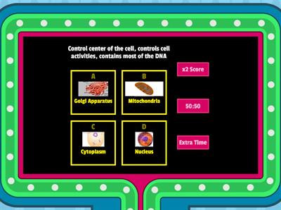  Cell Organelles Functions