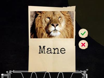 My Little Pony Vocabulary Game