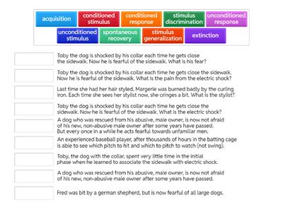 Classical Conditioning 