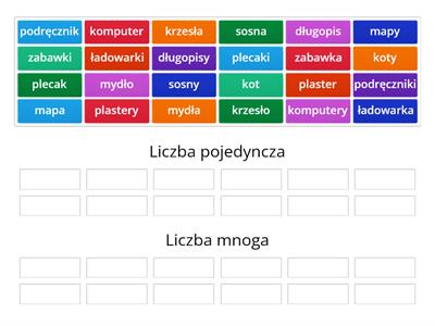 Liczba pojedyncza i mnoga rzeczownika (ONE)