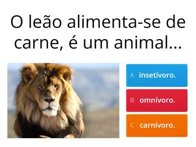 Os animais - 3.º ano