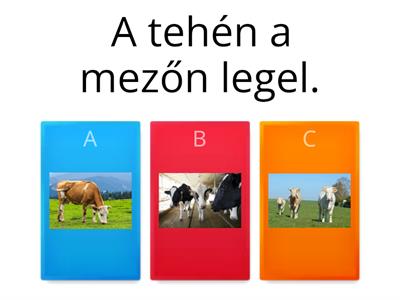 Mondat-kép egyeztetés: kattints arra a képre, amelyikről a mondat szól!