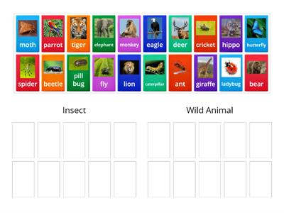 Categories (Insect vs. Wild Animal) sorting