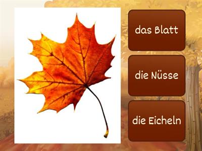 DER HERBST 