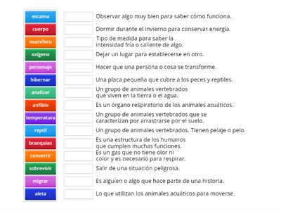 Palabras de la Semana 6 (Q1W6) - Emparejar