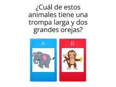  ANIMALES DE LA SELVA 