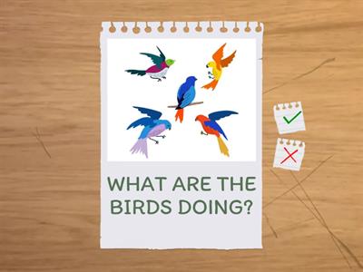 GENERAL QUESTIONS REVISION