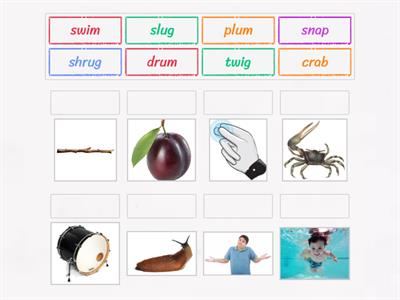 Reading Initial Consonant Blends