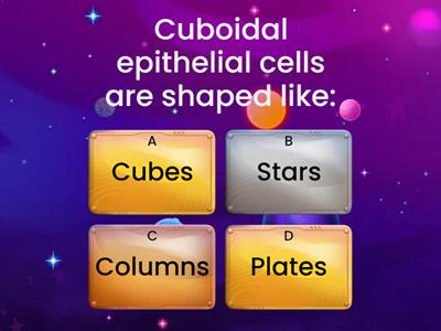 Cuboidal Epithelial Tissue Quiz