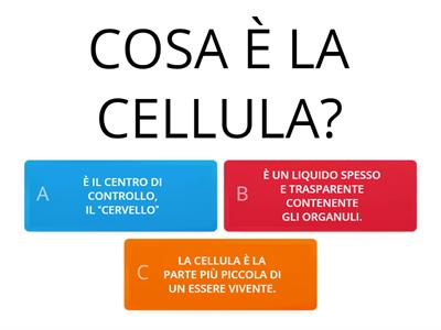  CELLULA