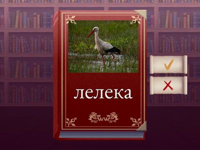 Досліджую іменник