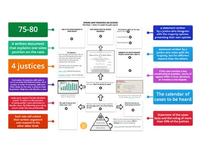 Supreme Court Procedures