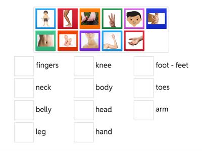 Parts of the body