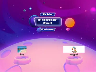 WK2 Whacka A Symphony of Whales