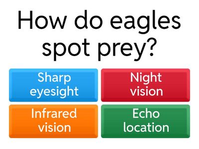 Predator Vision Quiz