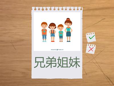 Family members 家人(immediate family)