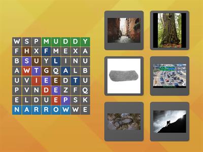  Beehive 3 Unit 4 adjectives