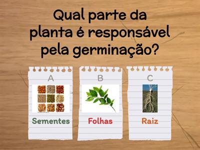        QUIZ PLANTAS