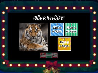 What is this? What is that?