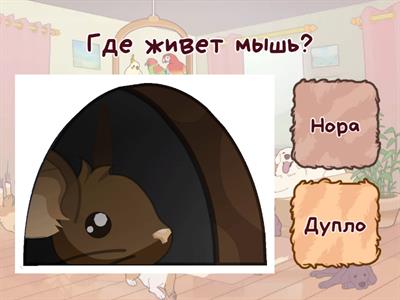 Где живут животные?РКИ дети