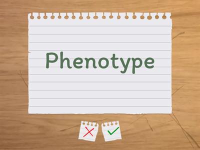 Create a word wall; Grayson S