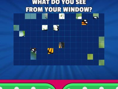 WHAT DO YOU SEE FROM YOUR WINDOW?