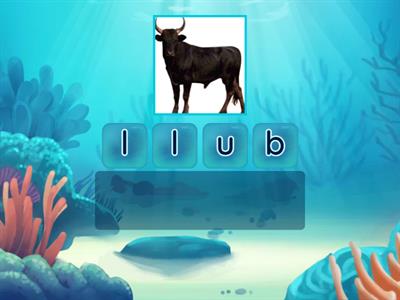 Double Consonant Anagram 3