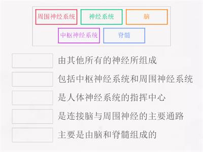 六年级科学 单元二 人类- 神经系统