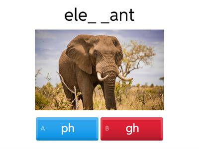 AS4 U5 phonics (gh/ph)