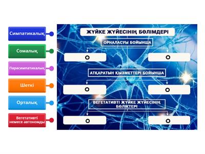 Ингуш әйелін бля