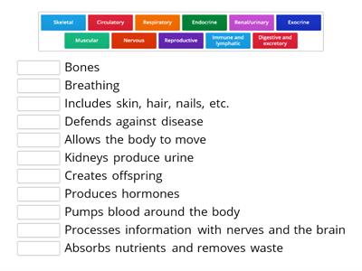 Body systems