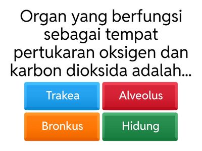 Kuis Sistem Pernapasan Kelas 8 