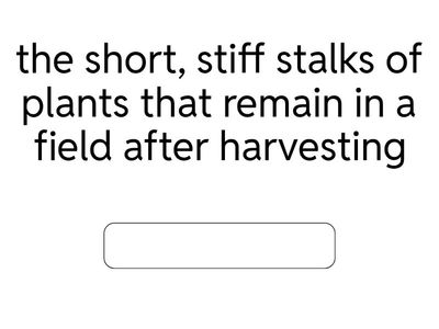 HMH Module 4 W3 Vocabulary