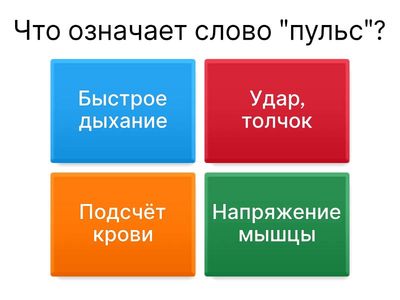 Кровеносная система